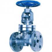 抗(kang)生素截止(zhi)閥